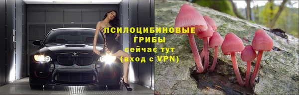 стафф Богородицк